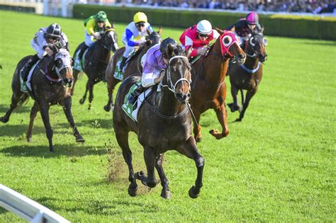what does nap mean in horse racing